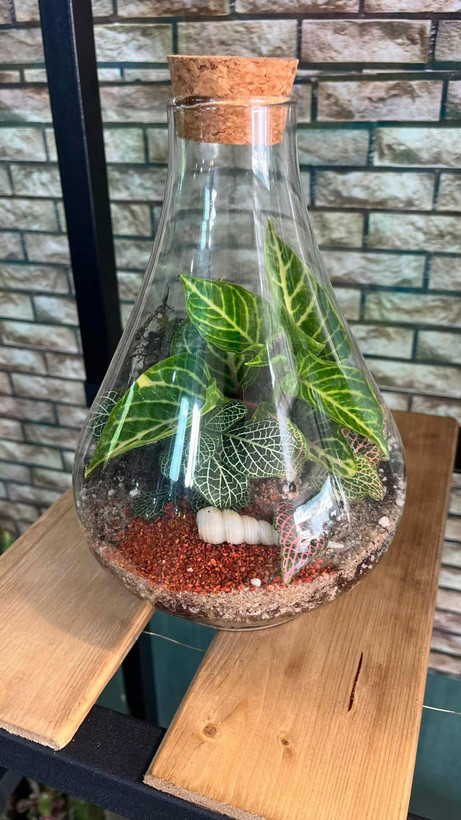 تراریوم مدل طاووسی